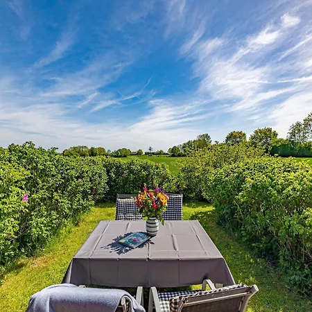 La Casa Kormoran Steinberg (Schleswig-Holstein)